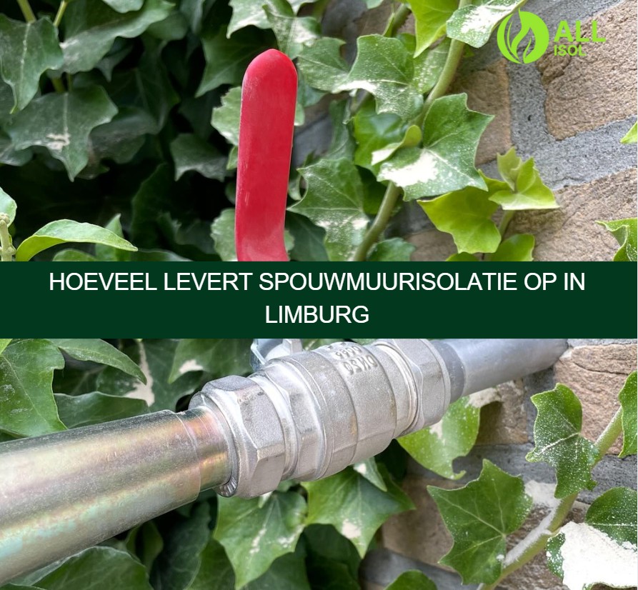 Hoeveel levert spouwmuurisolatie op in Limburg